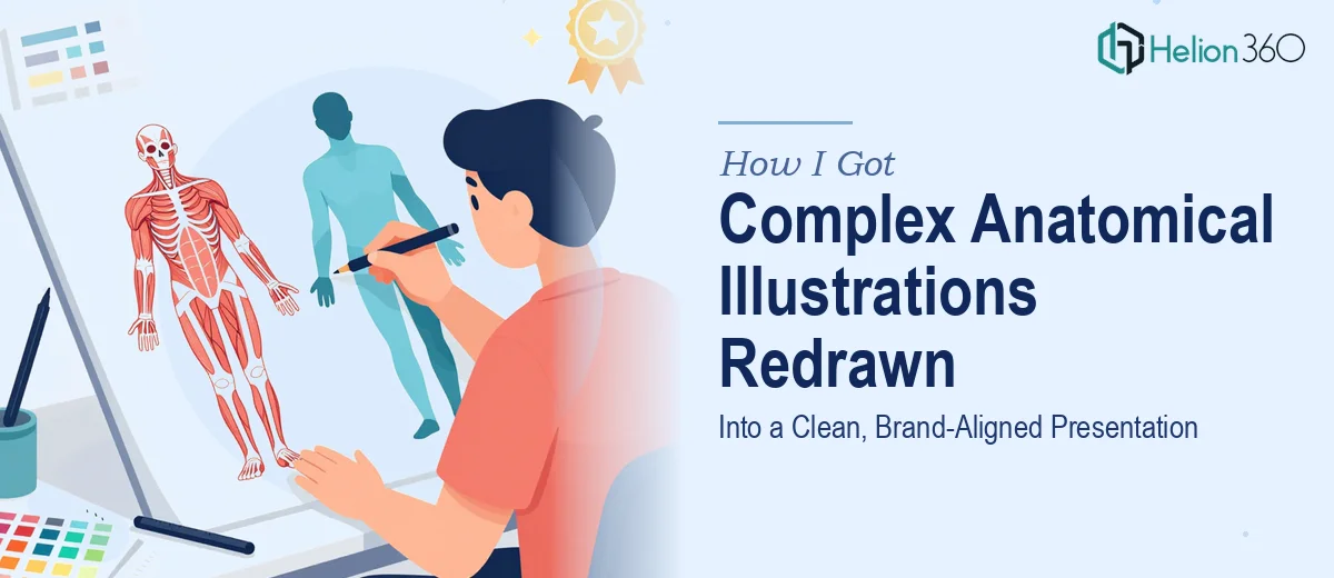 How I Got Complex Anatomical Illustrations Redrawn Into a Clean, Brand-Aligned Presentation