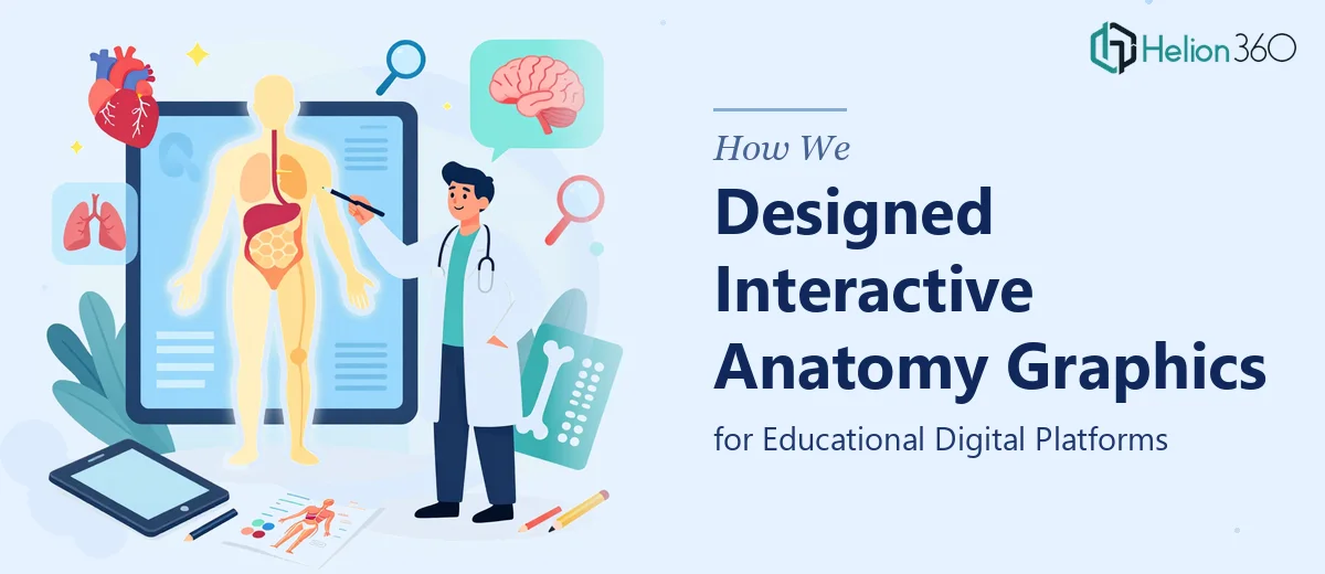 How We Designed Interactive Anatomy Graphics for Educational Digital Platforms